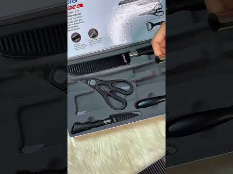 Zepter-Branded 6 Pcs Stainless Steel Kitchen Knife Set video thumbnail