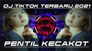 Download lagu DJ WANI NGRABI GAWEANMU OPO -  PENTIL KECAKOT GAWEAN WIS CETHO || REMIX TIKTOK TERBARU FULL BASS mp3