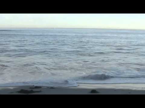 Mooji - Mastery of the Sages