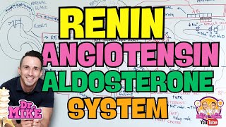 Renin Angiotensin Aldosterone System & Blood Pressure Drugs