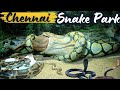 Chennai Guindy Snake Park | Guindy National Park | Tourist Places in Chennai #trollingtamila #tour