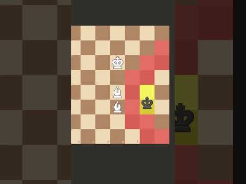 Checkmate with 2 bishops