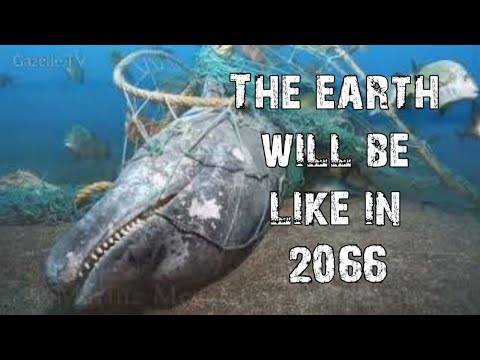 The earth will be like in 2066