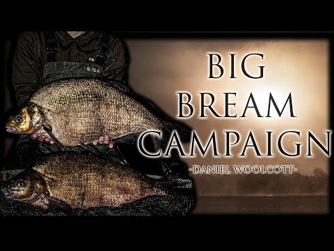 Specimen Bream Fishing | Daniel Woolcott | Campaign Film