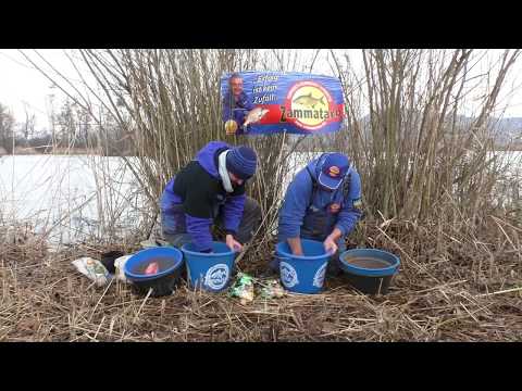 Zammataro / Balzer Stillwasser-Feedern mit Michael Zammataro und Julian Feuerlein