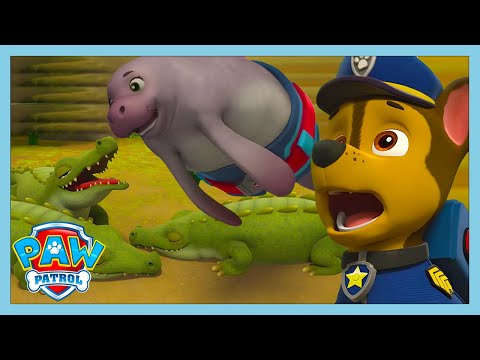 Saving Mindy From The HUNGRY CROCODILES! 🐊 😱 | Paw Patrol | WildBrain Kids