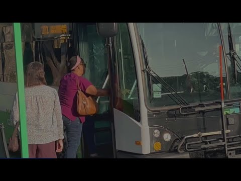 Miami Bus Map