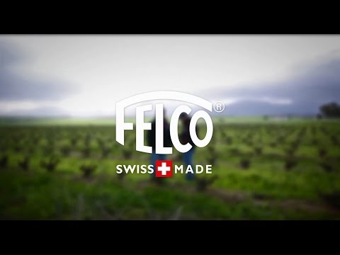 Pruning Vineyards - Guyot (Cane pruning)