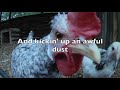 Asleep at the Wheel - AIn't Nobody Here But Us Chickens