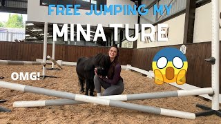 FREE JUMPING MY MINIATURE SHETLAND! can he jump