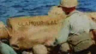 Brian Eno - On Some Faraway Beach