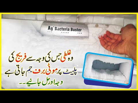 Extra Ice Freezing in Freezer Box/Plate Problem Solved, ice Buildup Fix in Refrigerator/Fridge