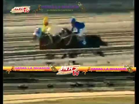 LA RINCONADA 8 CARRERA DOMINGO 25 DE ENERO DEL 2015