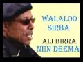 Ali Birra Nin Deema Lyrics Oromo Music