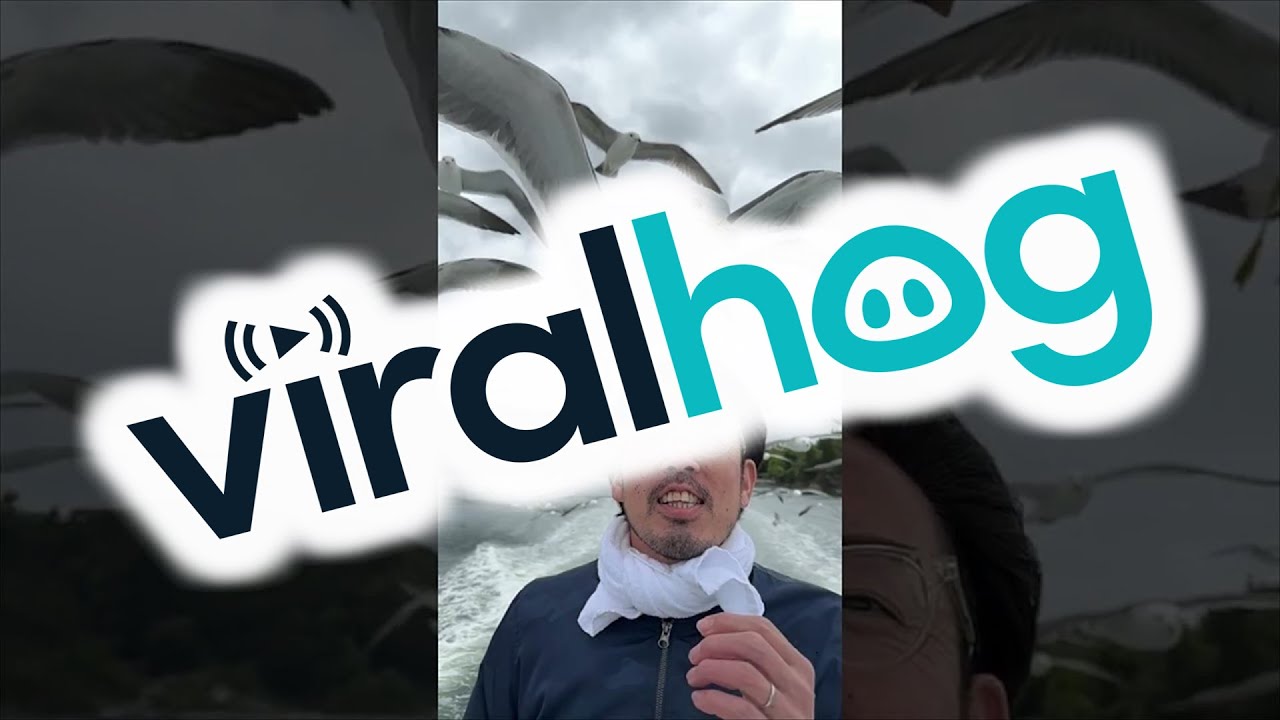 YouTube video preview