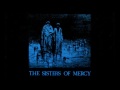 The Sisters Of Mercy - Body Electric (Body And ...