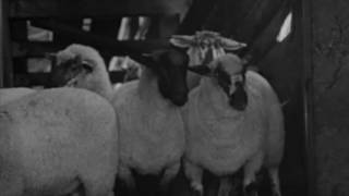 ＢＬＥＡＴＩＮＧ ＨＥＡＲＴＳ