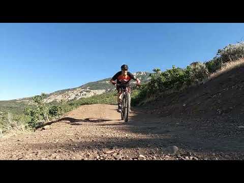 DH top to bottom