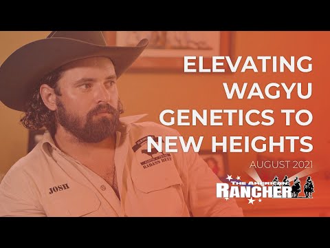 Elevating Wagyu Genetics to New Heights | The American Rancher Promo