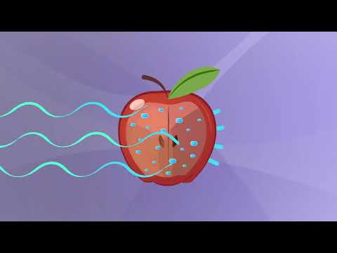 How X rays see through your skin   Ge Wang