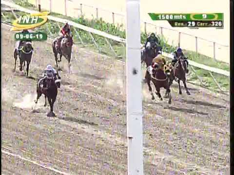 🏆 Copa "Polo Grounds" 2019 | Ilustrado | R29 | La Rinconada