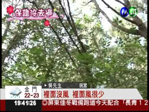 雲林四湖黑森林 吹海風賞夕陽!