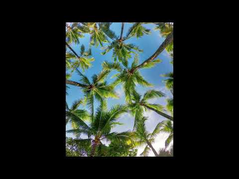 DASLOE FEAT. ADELYN PAIK sunny day, sunny day