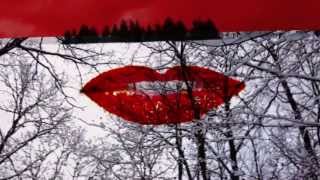 Museum of Love "Down South" (Official Video)