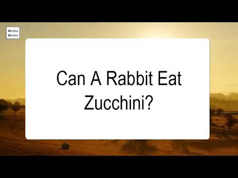 download lagu mp3 mp4 Can Rabbits Eat Zucchini, download lagu Can Rabbits Eat Zucchini gratis, unduh video klip Can Rabbits Eat Zucchini