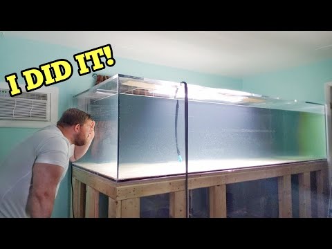 The BIG AQUARIUM is READY for FISH