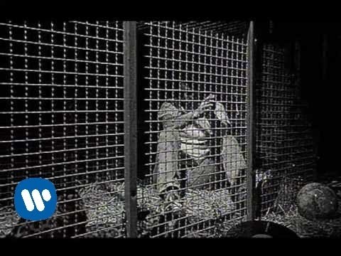 Suelta Las Riendas De Mi Corazon (video clip)