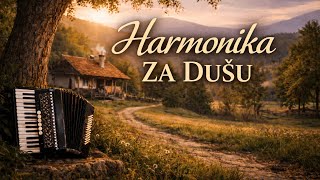 Download lagu Muzika za Šetnju i Duboko Sećanje – Instrumentalna Starogradska Harmonika | Opusti Se i Uživaj | mp3 Download lagu Muzika za Šetnju i Duboko Sećanje – Instrumentalna Starogradska Harmonika | Opusti Se i Uživaj | mp3