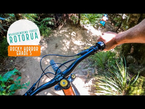 Rocky Horror Trail, Rotorua - The only ROCKS in Rotorua!