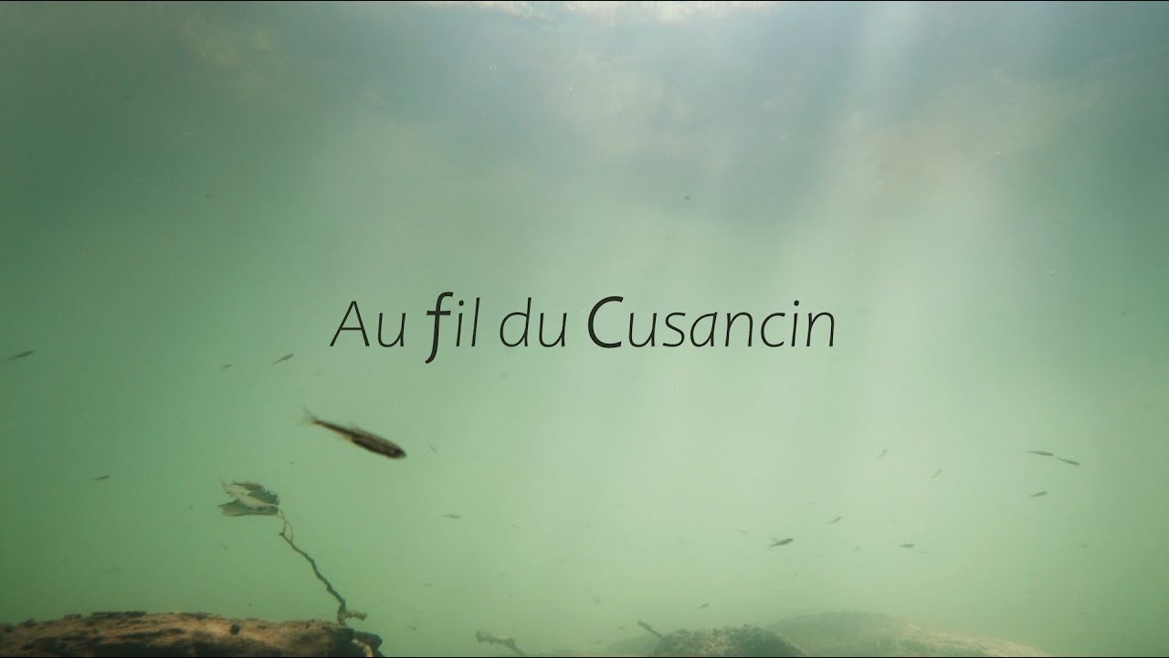 Au fil du Cusancin - Documentaire