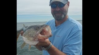 How To Fillet A Walleye Lake Erie Style