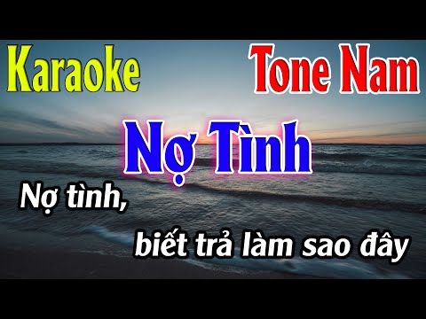 Nợ Tình Karaoke Tone Nam ( Dm ) Beat Hay | Karaoke Lâm Organ