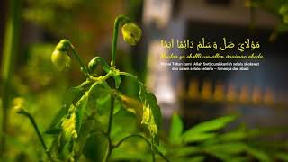 Download lagu SHOLAWAT - Maula Ya Sholli Wa Salim Daiman Abada (Sholawat Burdah) | Story WA | Video 30 Detik mp3