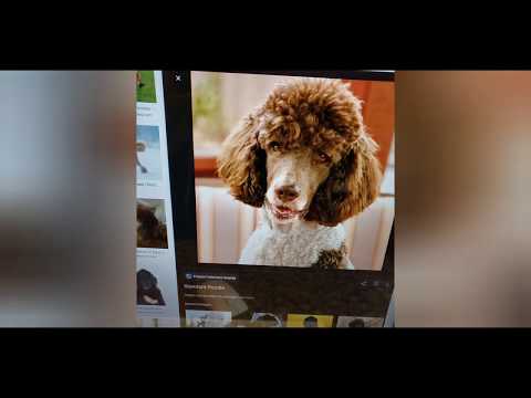 DELL Inspiron 3280 Black 21.5