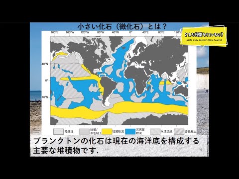 国際資源学部 国際資源学科 資源地球科学コース 山崎 誠 先生によるミニミニ講義『地層や小さな化石から過去の地球環境を探る』