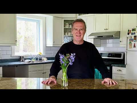 TONY BIRD: “BIRD OF PARADISE” by TOMMY GIBBONS