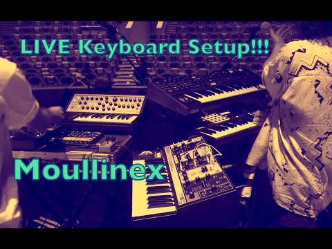 Moullinex - The most spectacular Live Setup I've Seen! - Moog, Sequential and a lot more...