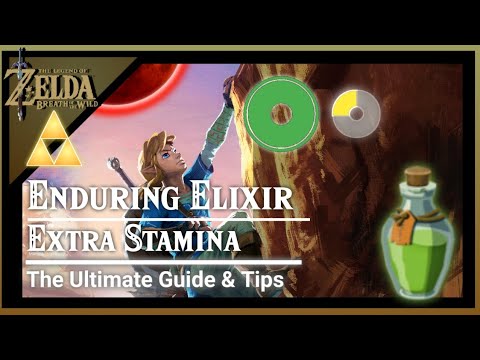 Enduring Elixir (Extra Stamina Wheel) Best Elixir Ingredients - Zelda: Breath of The Wild