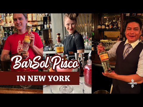 BarSol Pisco | Where can I find it in New York? 🗽👀