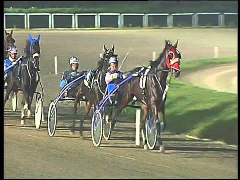 Trotto 05/11/2015 - 8° corsa