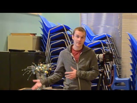 Nature Photography Presentation. Wildlife