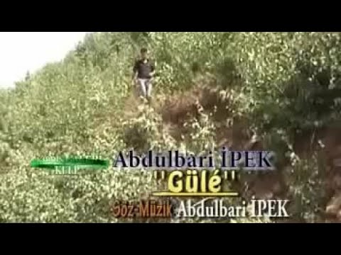 Abdulbari İpek - Gule - (Official Video)