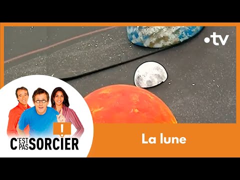 Wizards Reach for the Moon - It's Not Rocket Science [Complete Series]