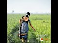 Puthu Nellu Puthu Nathu Classic Song