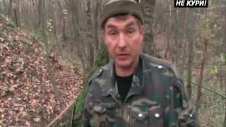 Как поймать барсука в капкан