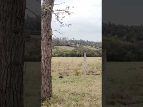 1 Acre Roadside Land for Sale - Kiserian-Isinya Road